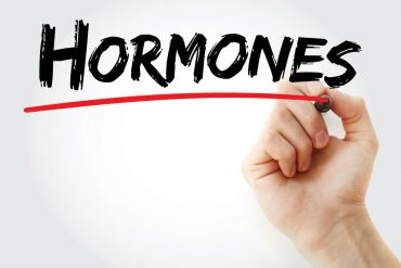 How Hormones Rule Our Lives