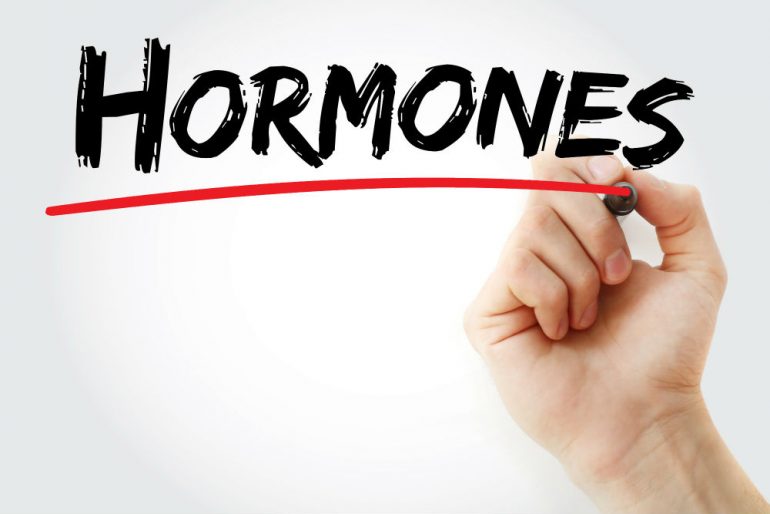 How Hormones Rule Our Lives